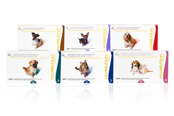 レボリューション