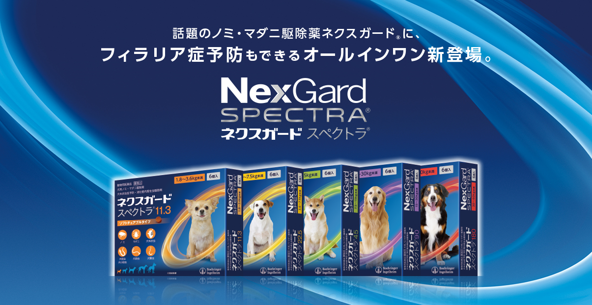 ネクスガードスぺクトラは人気No.1オールインワンペット医薬品です