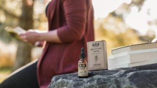 ネクスガードの通販・価格比較！最安値はココ